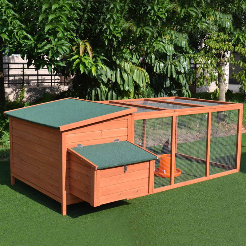 Archie & Oscar™ Auggie 19.5 Square Feet Chicken Coop with Chicken Run